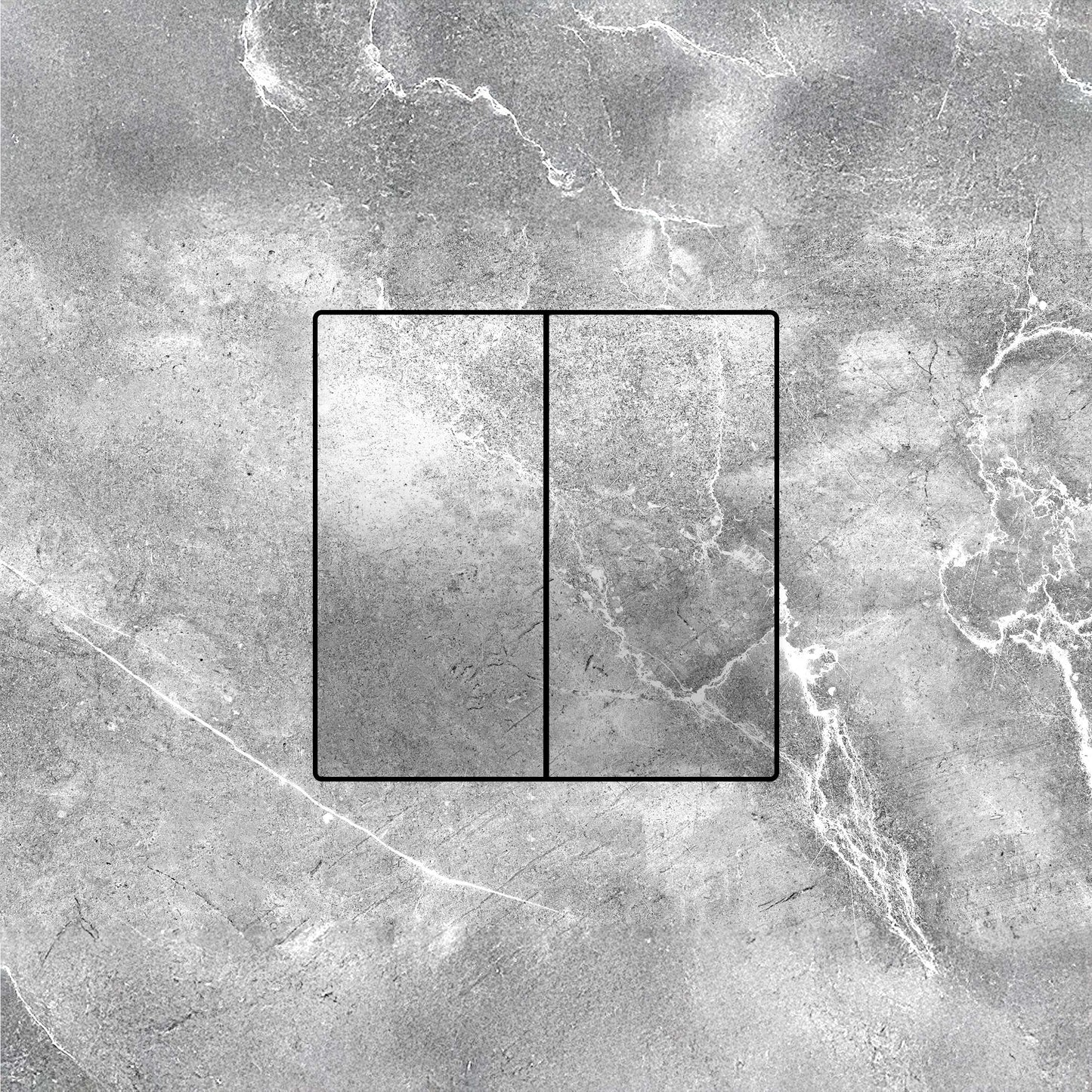 Concealed double switch